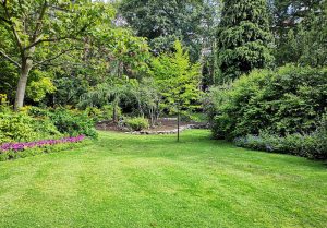 Optimiser l'expérience du jardin à Crevans-et-la-Chapelle-les-Granges